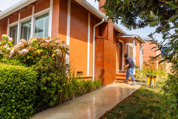 Best House Pressure Washing  in Negaunee, MI