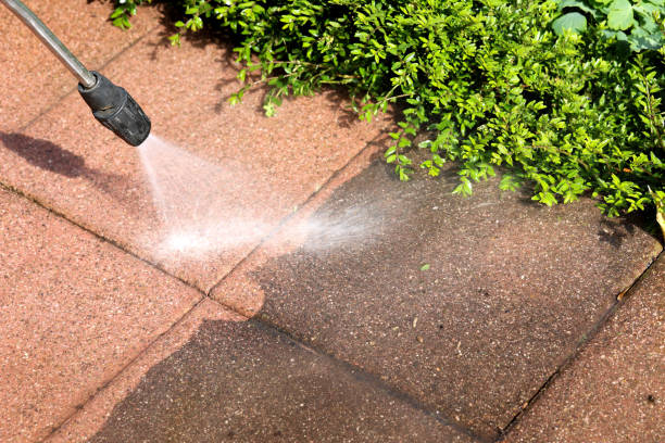Best Pressure Washing Near Me  in Negaunee, MI