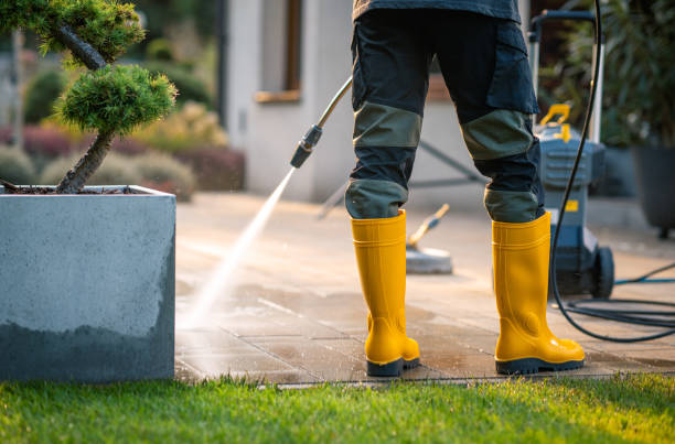 Best Power Washing Near Me  in Negaunee, MI